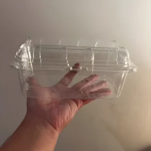 Biodegradable lunch boxes